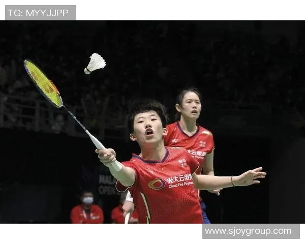 精彩回顾越南对阵马来西亚的比赛录像分析与精彩瞬间分享